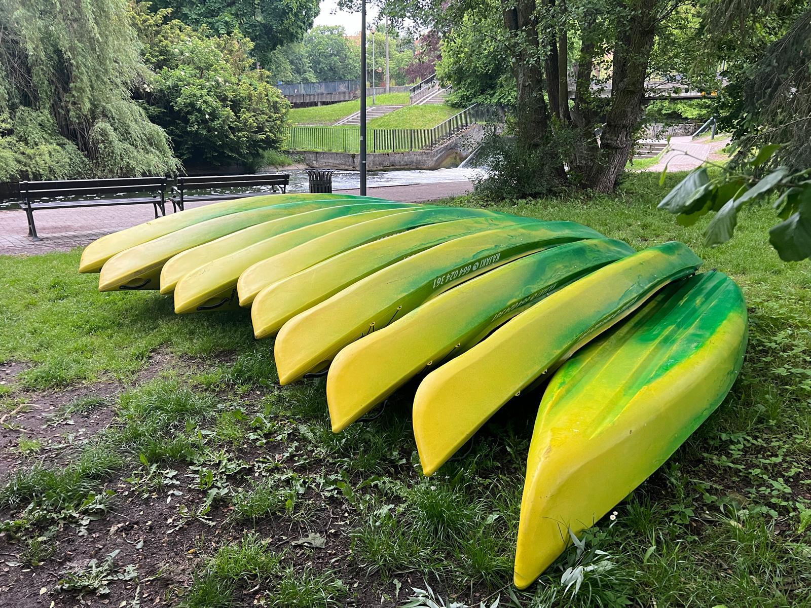 Kajaki Ryś - zdjęcie ze spływu