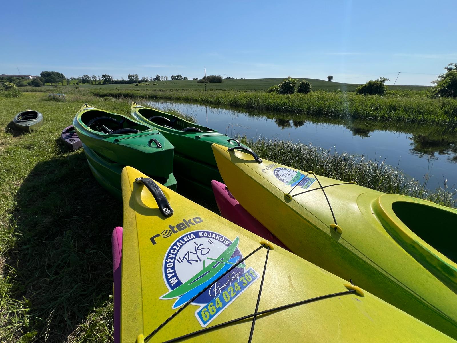 Kajaki Ryś - zdjęcie ze spływu