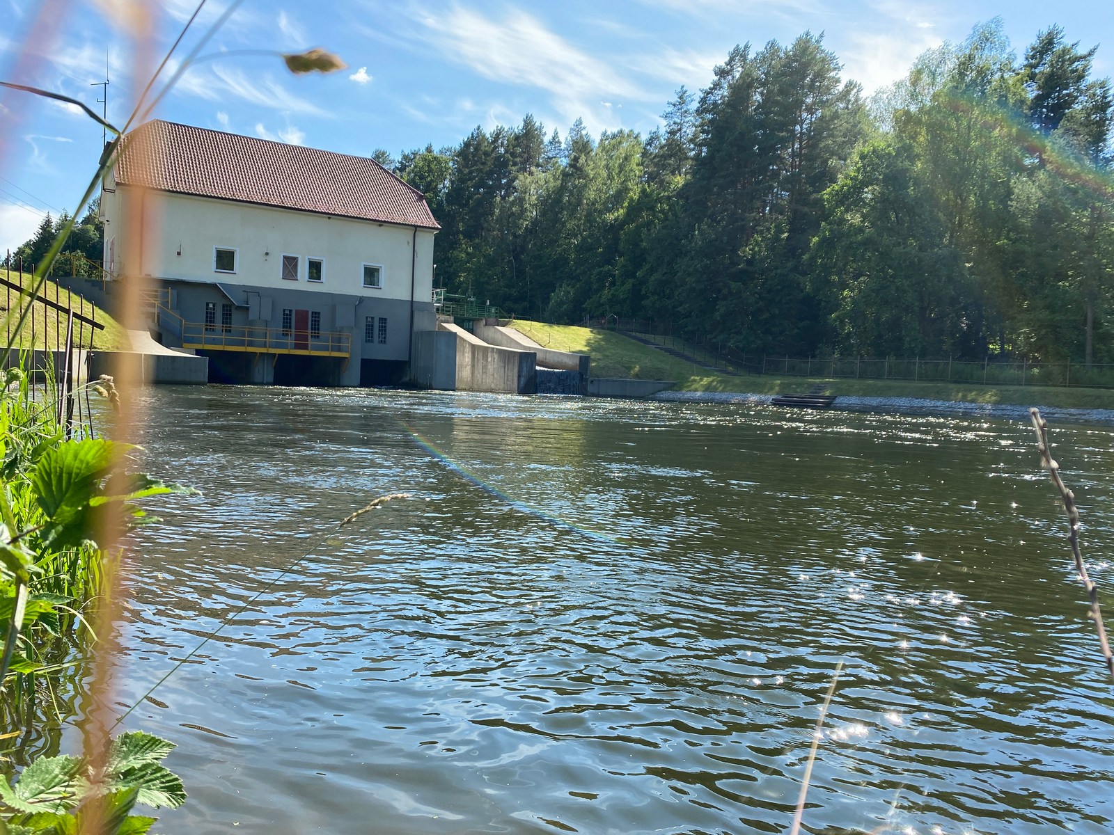 Kajaki Ryś - zdjęcie ze spływu