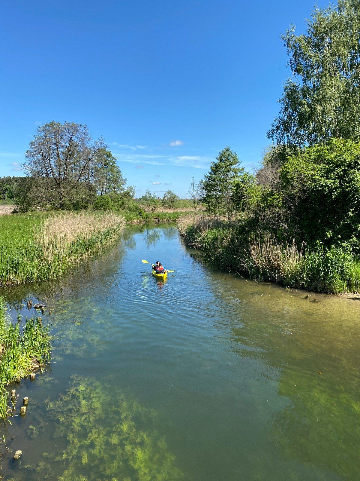 Kajaki Ryś - zdjęcie ze spływu