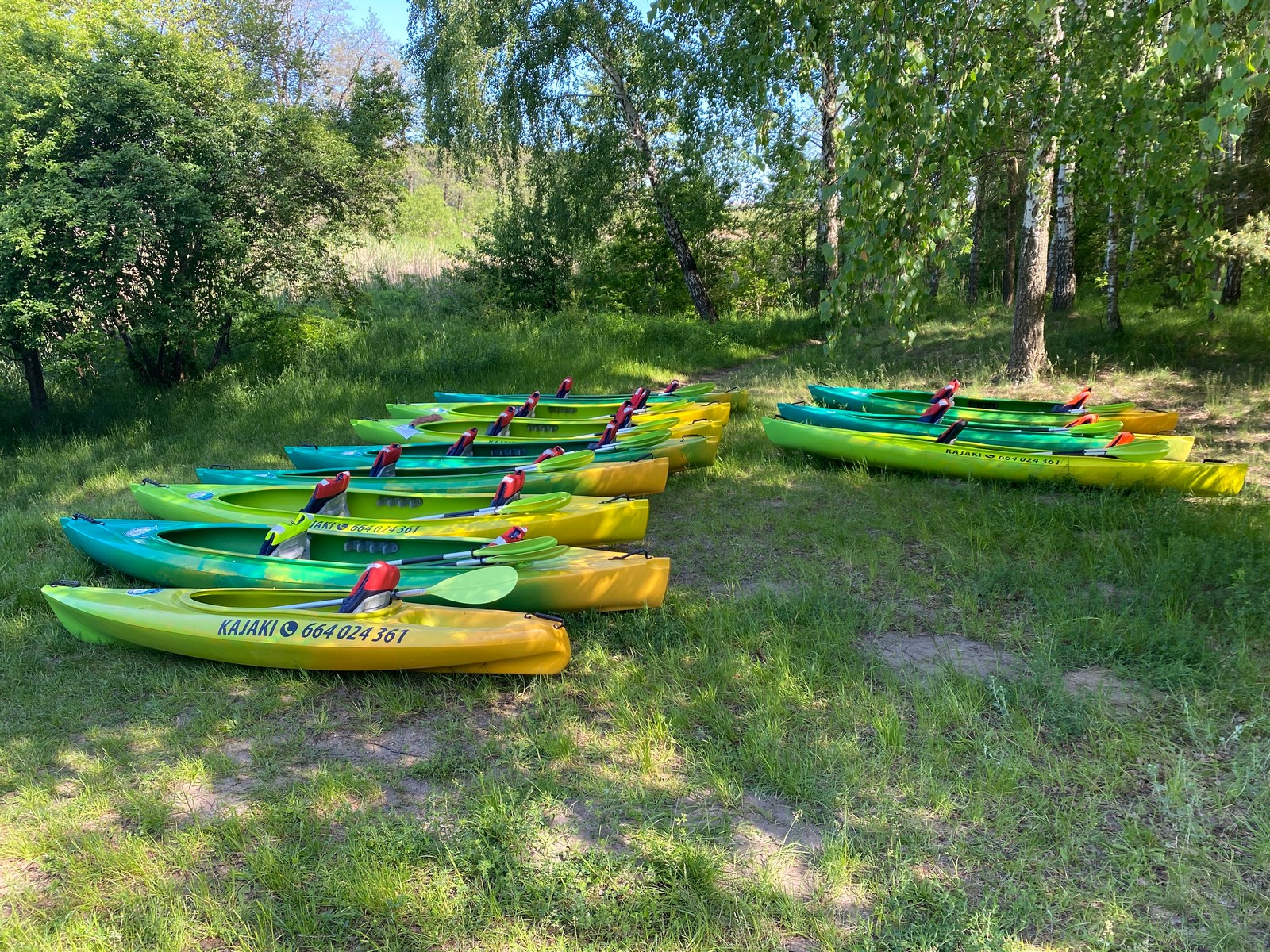 Kajaki Ryś - zdjęcie ze spływu