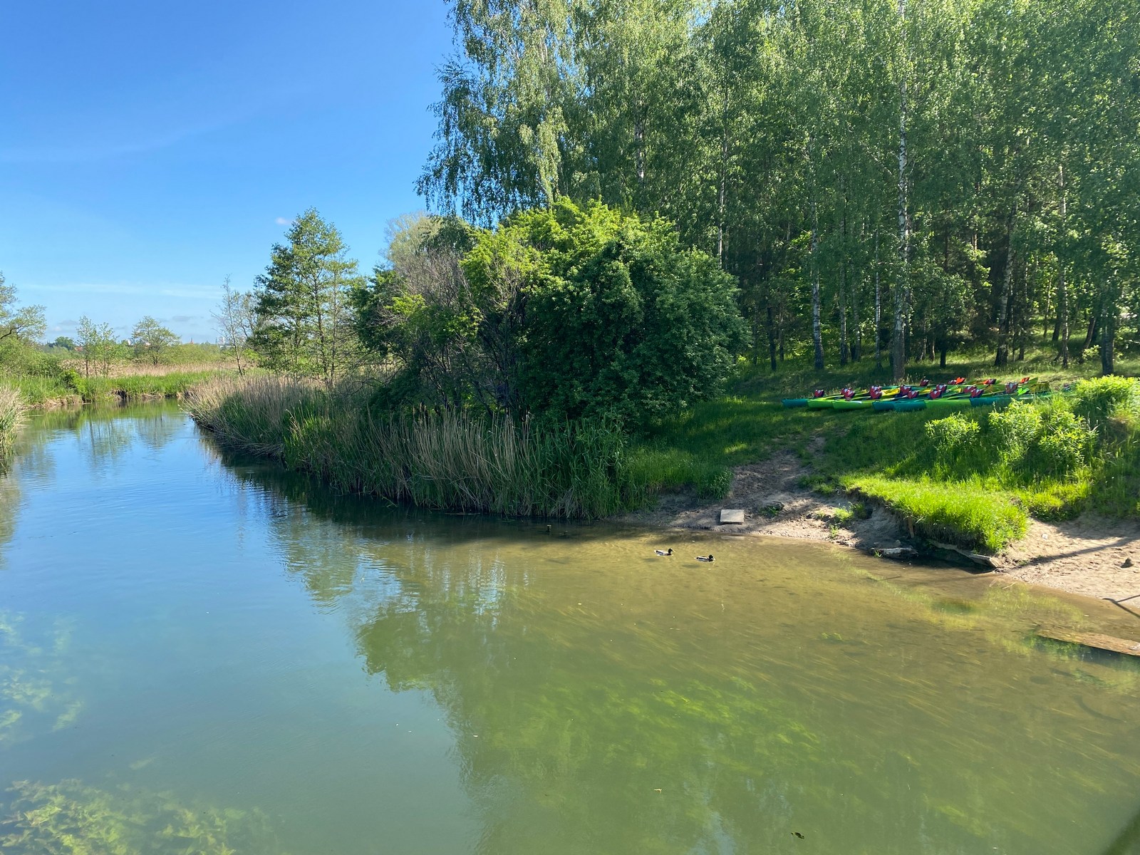 Kajaki Ryś - zdjęcie ze spływu